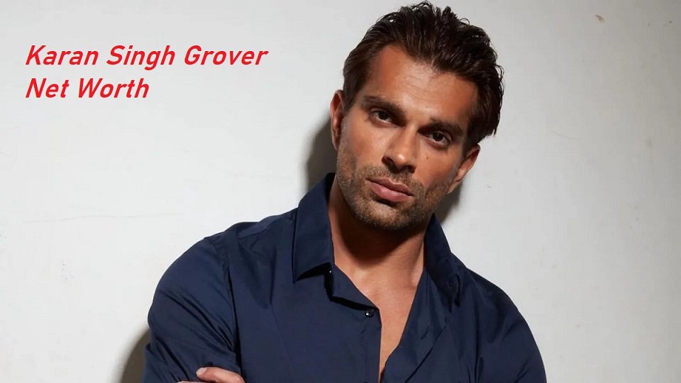 Karan Singh Grover Net worth