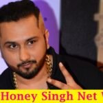 yo yo honey singh net worth