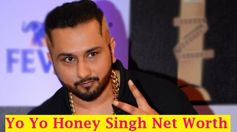 yo yo honey singh net worth