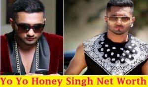 yo yo honey singh net worth